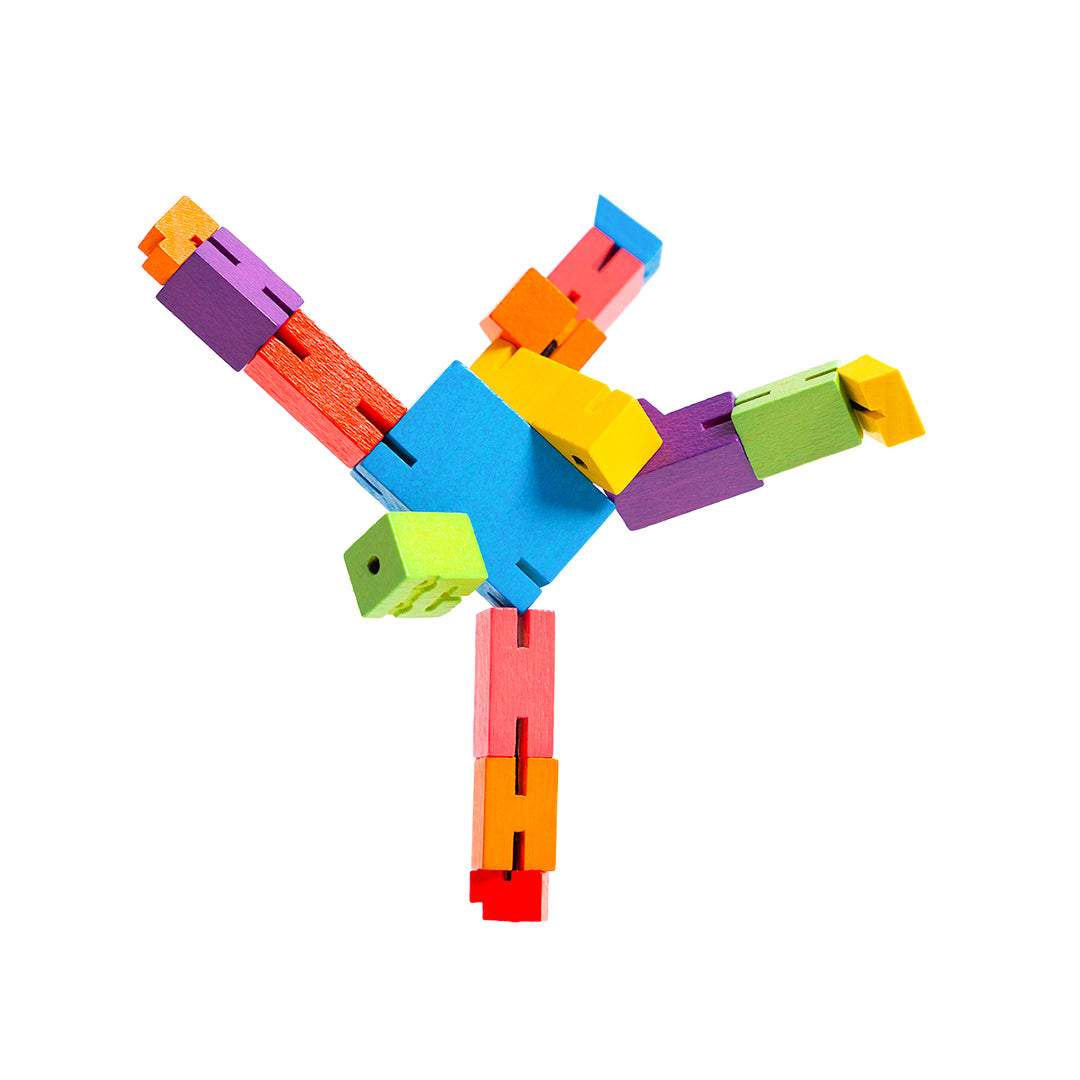 Custom Micro Multicolor Cubebot®