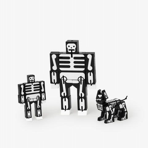 Skeleton Micro Cubebot