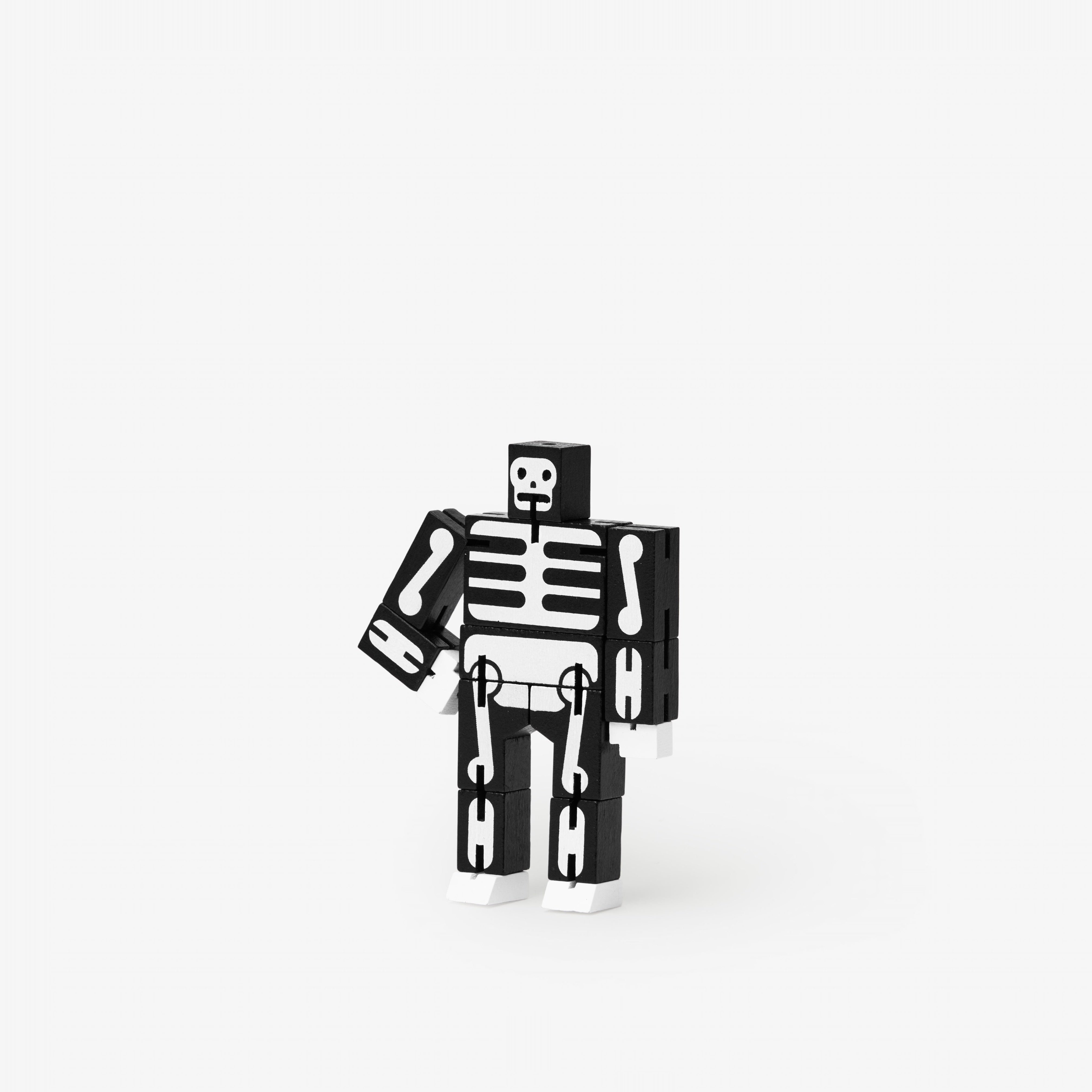 Skeleton Micro Cubebot