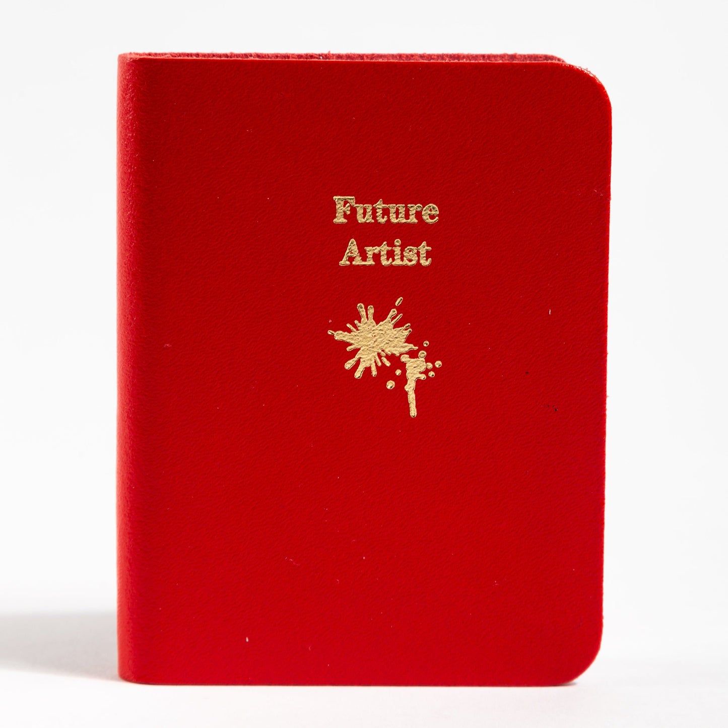 Future Artist Mini Book