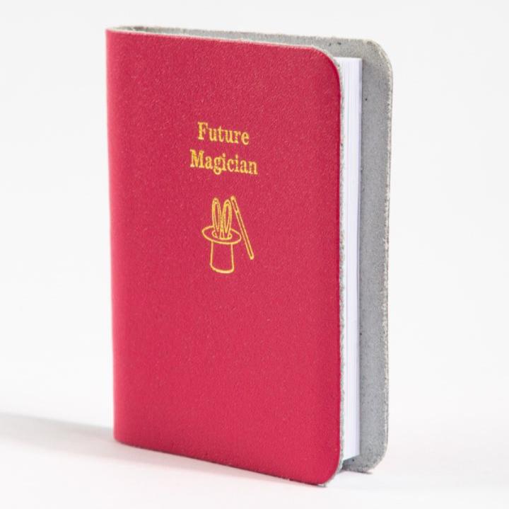 Future Magician Mini Book