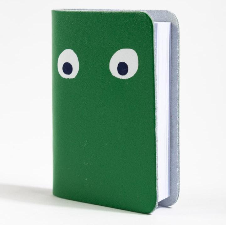 Googly Eye Mini Leather Notebook in Green